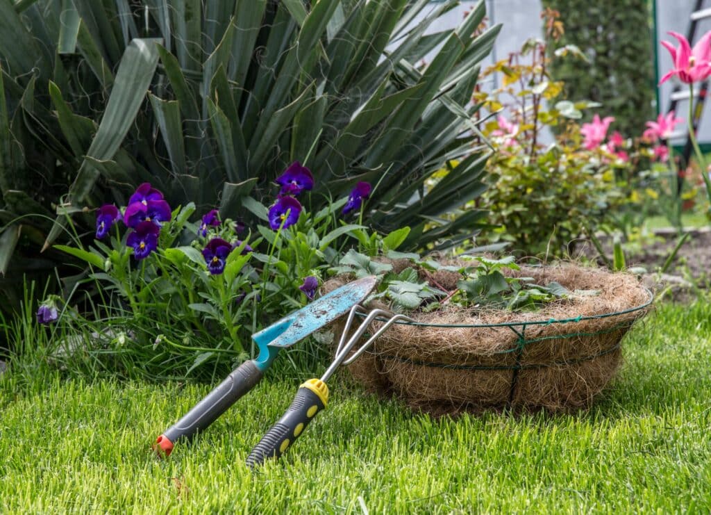 Créer un jardin naturel : nos conseils