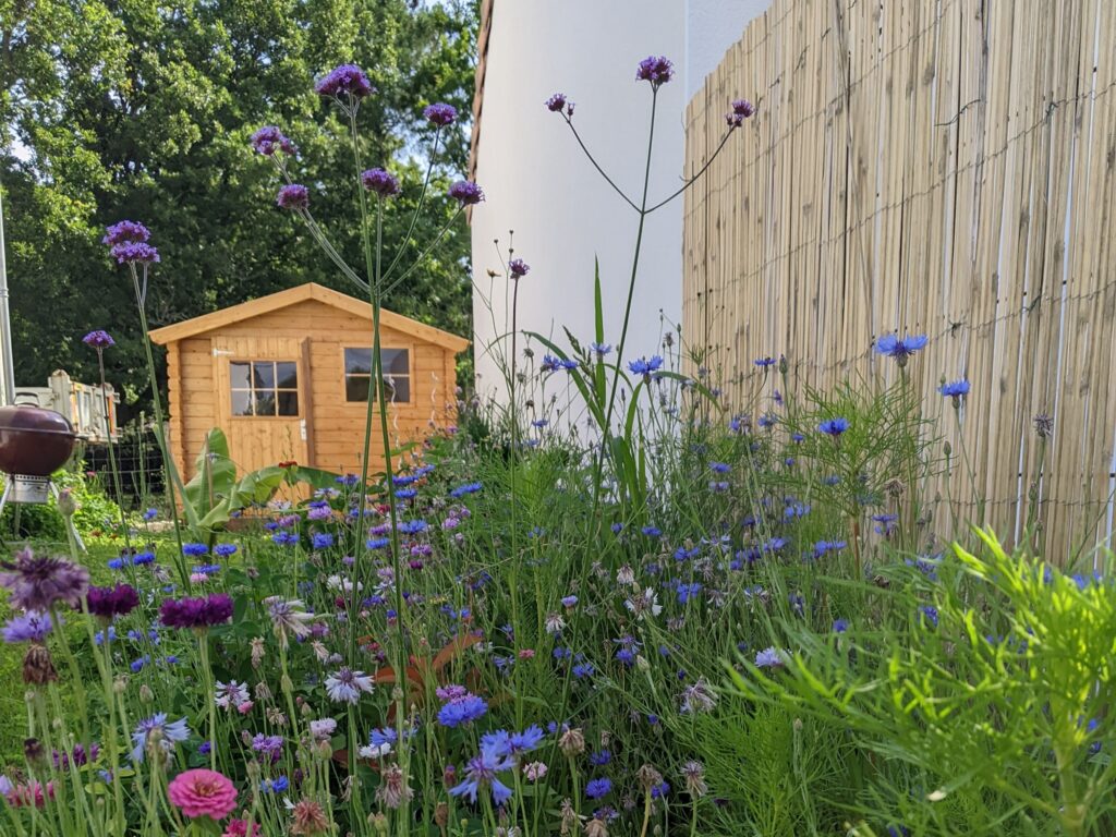 Réaliser un jardin vivant peu coûteux